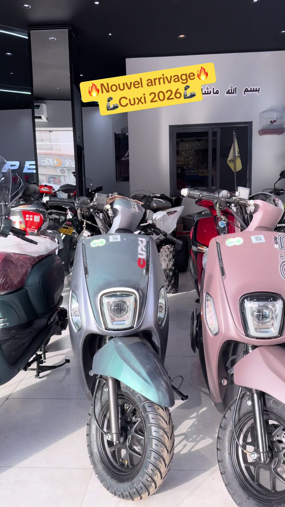 @APEX Moto
