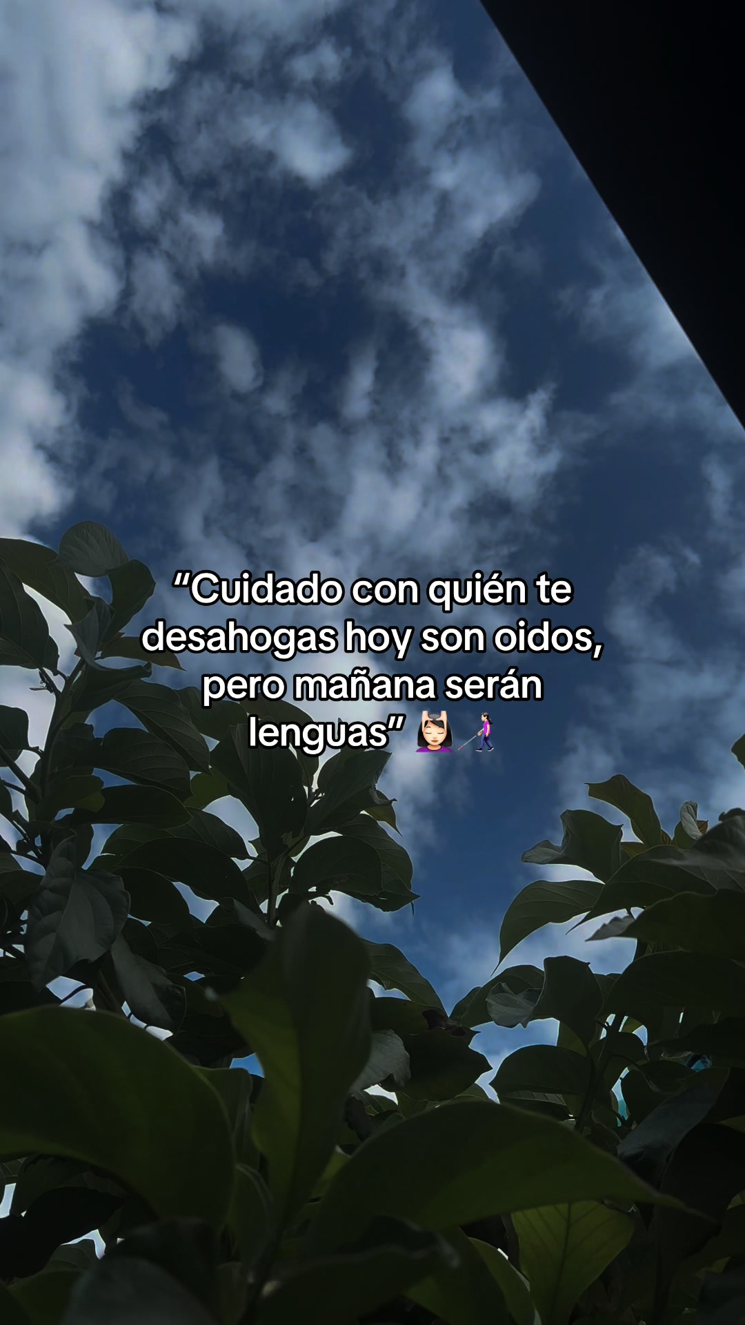 @Ary lopez