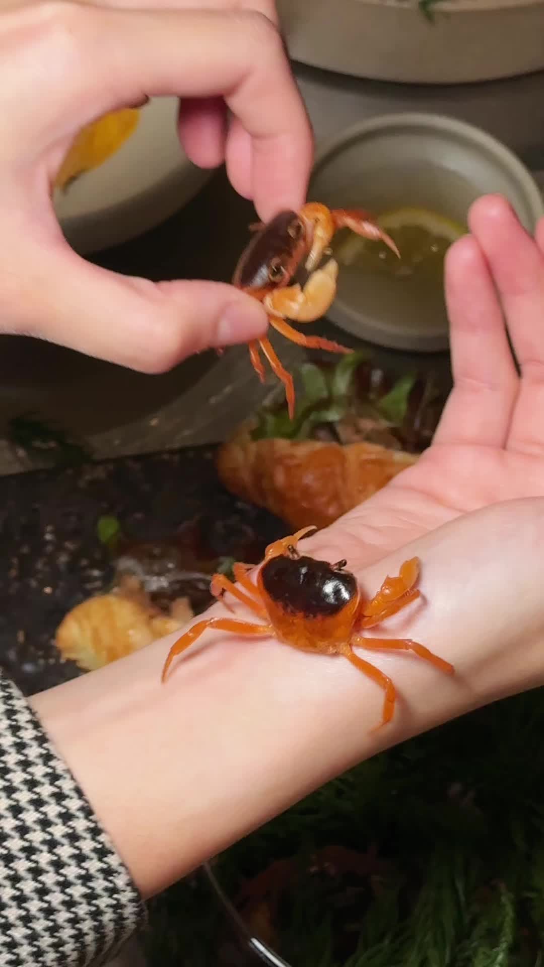 @肉依旅遊美食分享