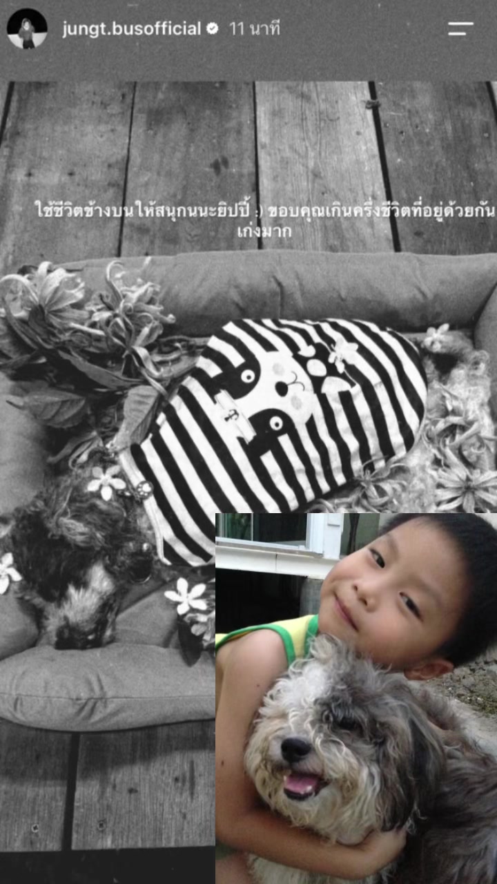 @Yd_ptcbus(12ก้อน)