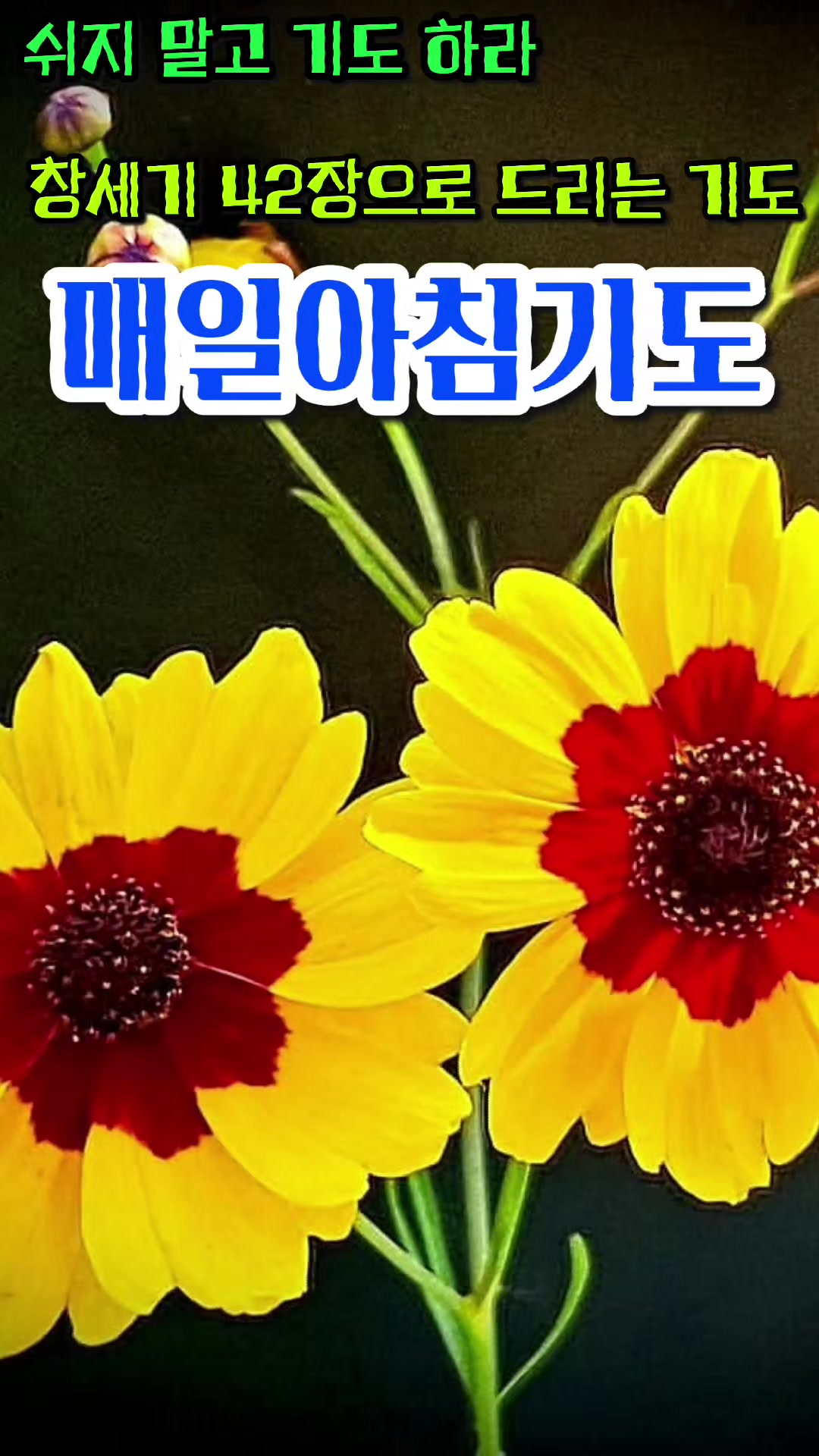 @피켓전도 김종일 목사
