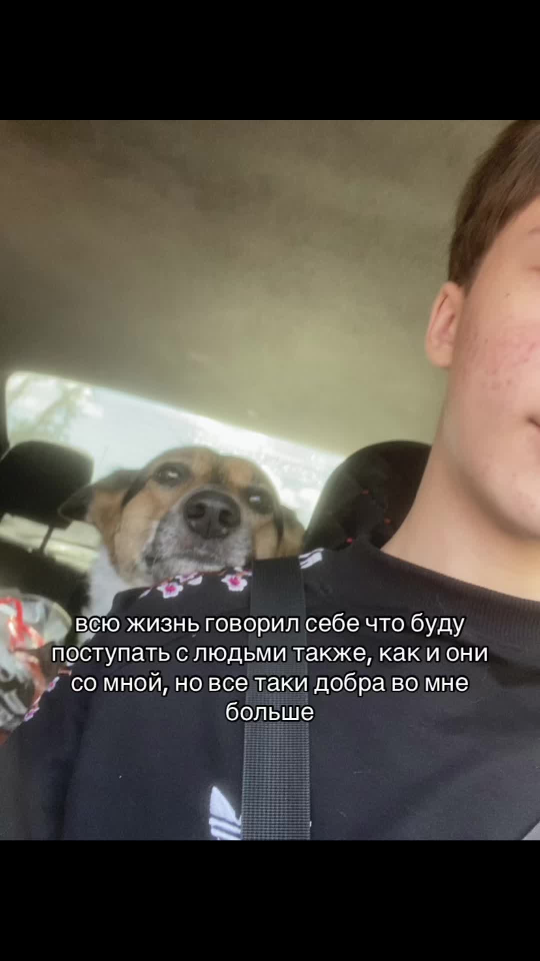 @#ʙuʙʙl3guʍ