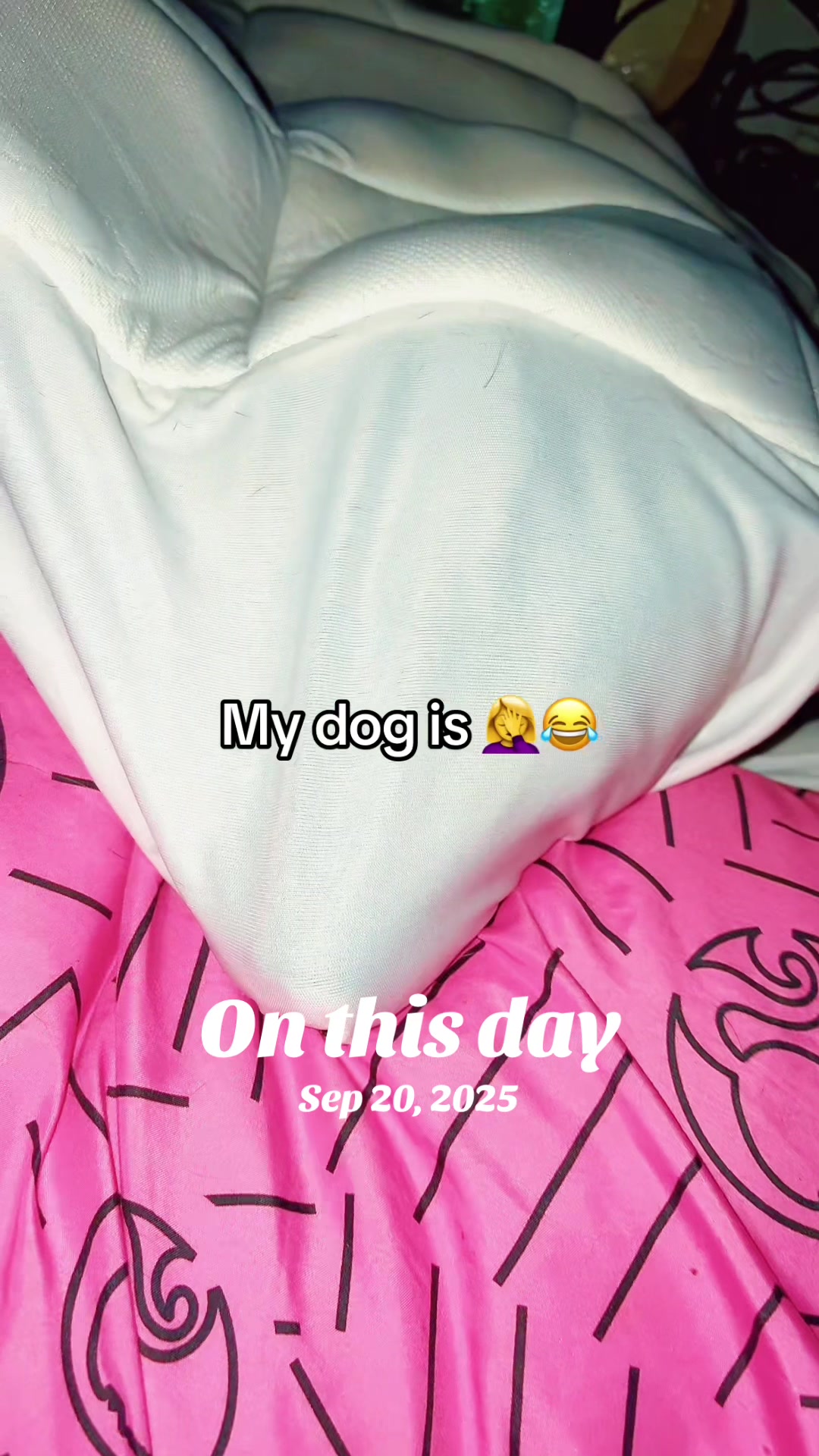 @GoddessBabydoll6669