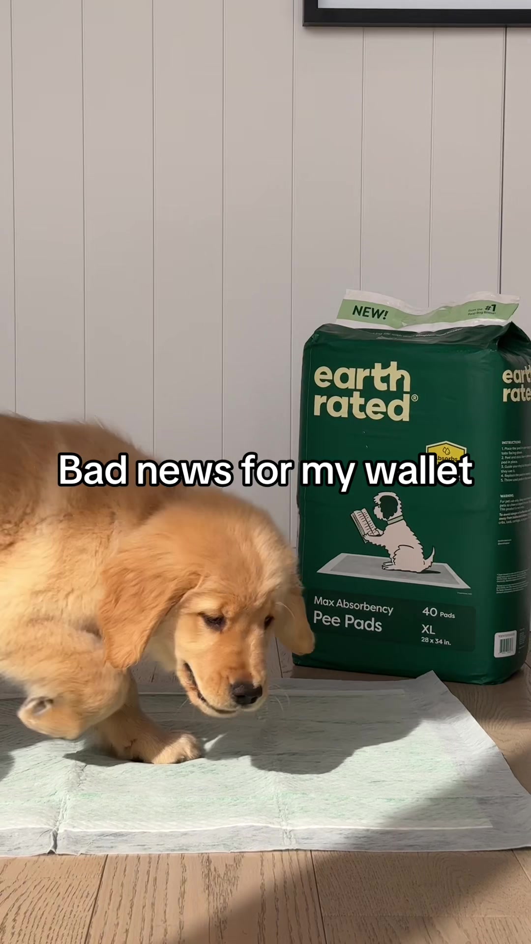 @earthrated