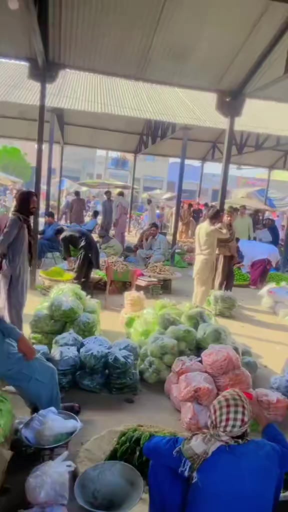 @⛓چوہدری سلمان وینس 🦁