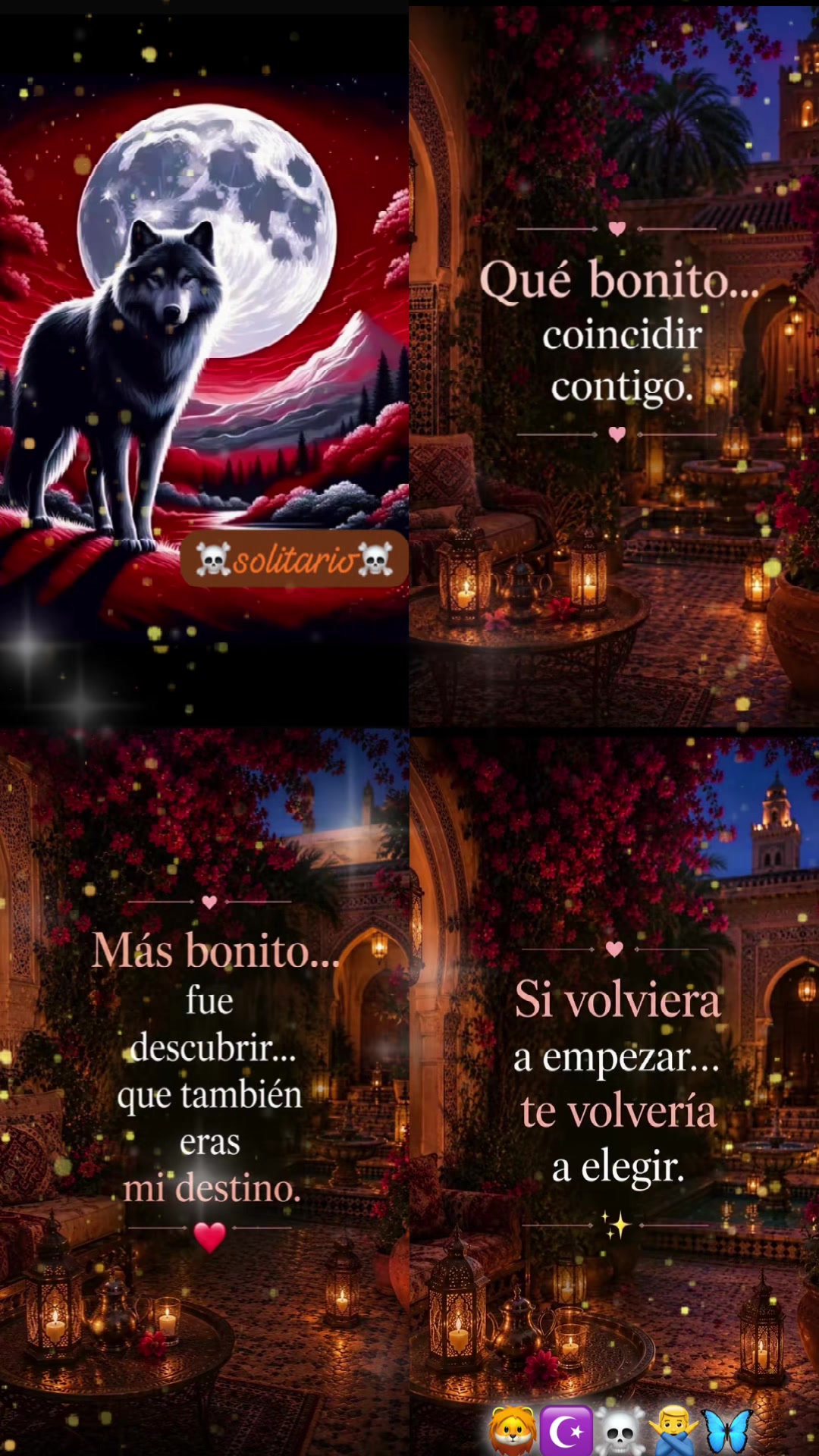@🦁☪️☠️*solitario*☠️🦋