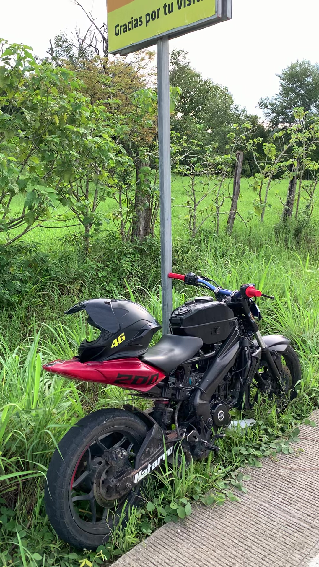 @Nataren🏁🧃🐇