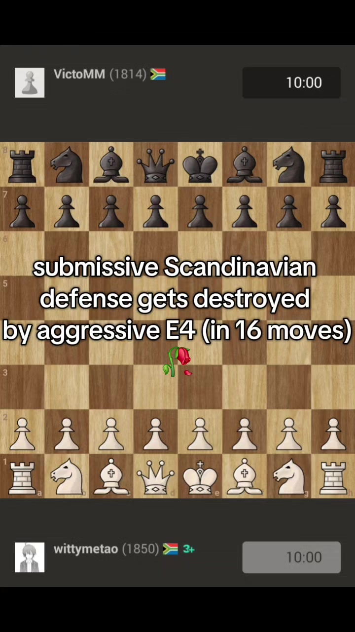 @chesswithTao