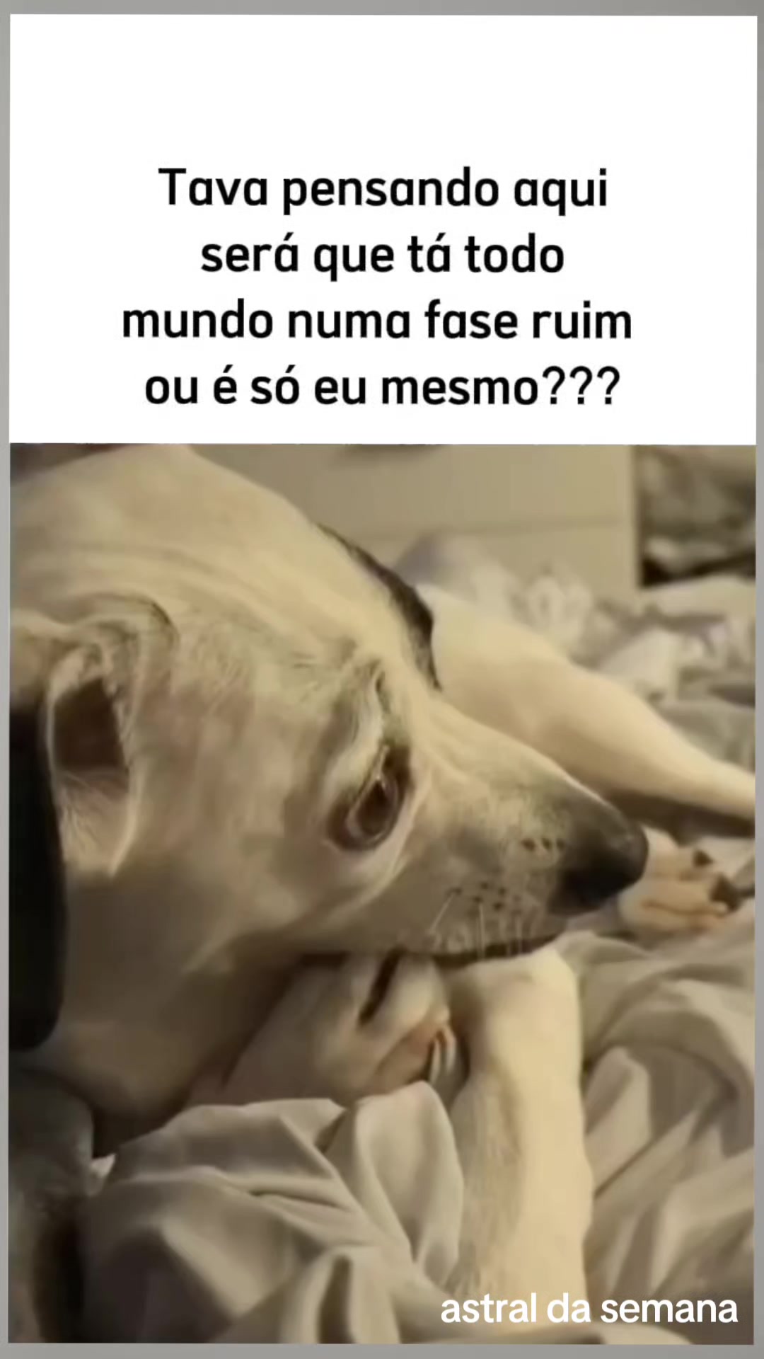 @Astral