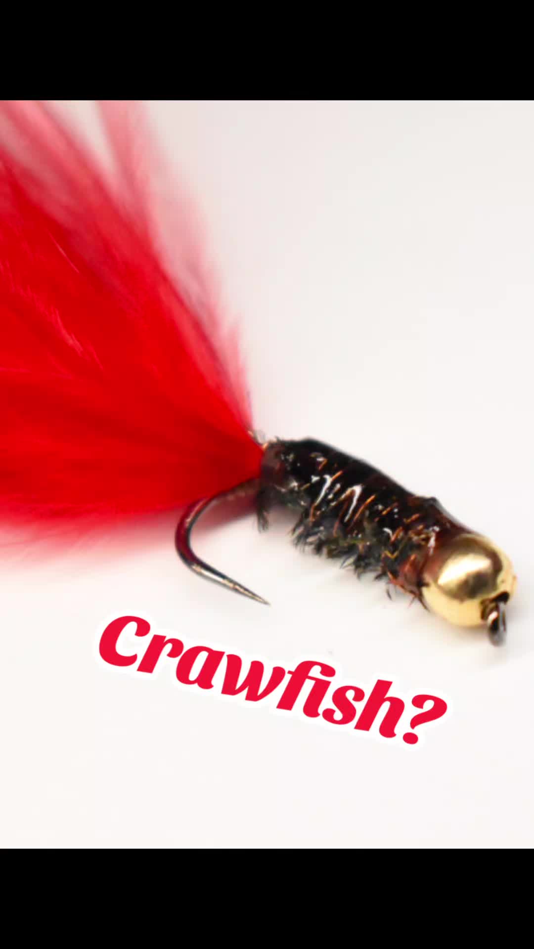 @2DownTackle