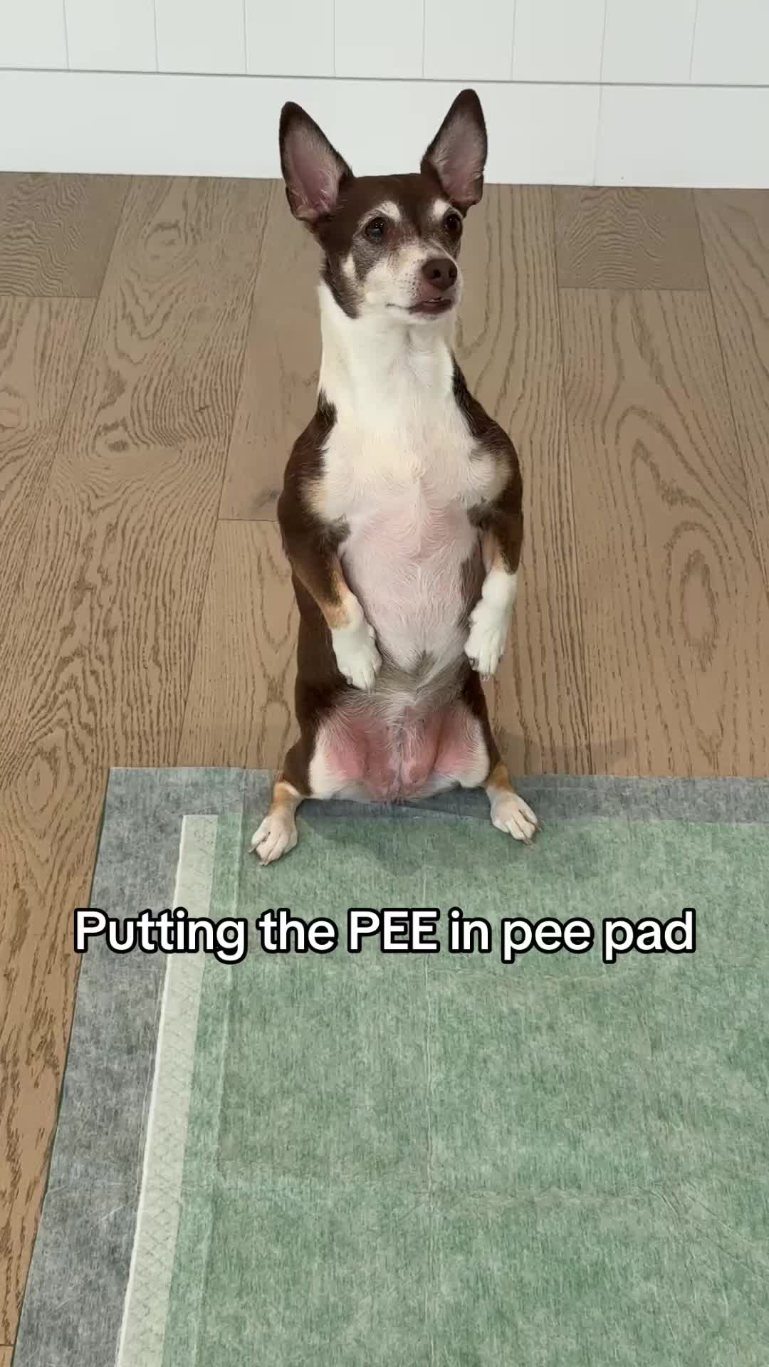 @earthrated
