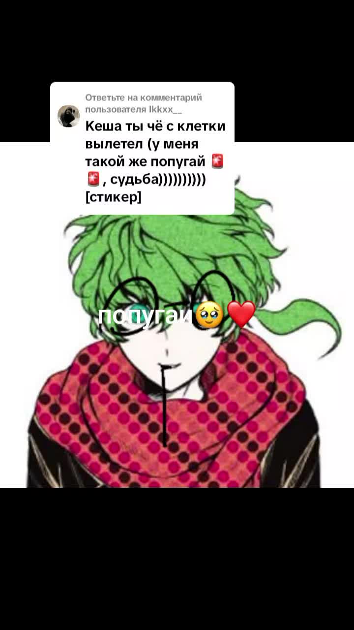 @мидори и попугайчики