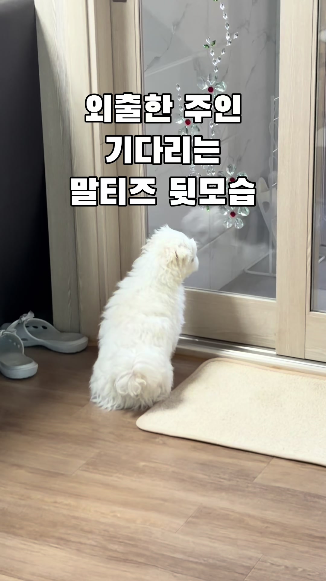 @박까까