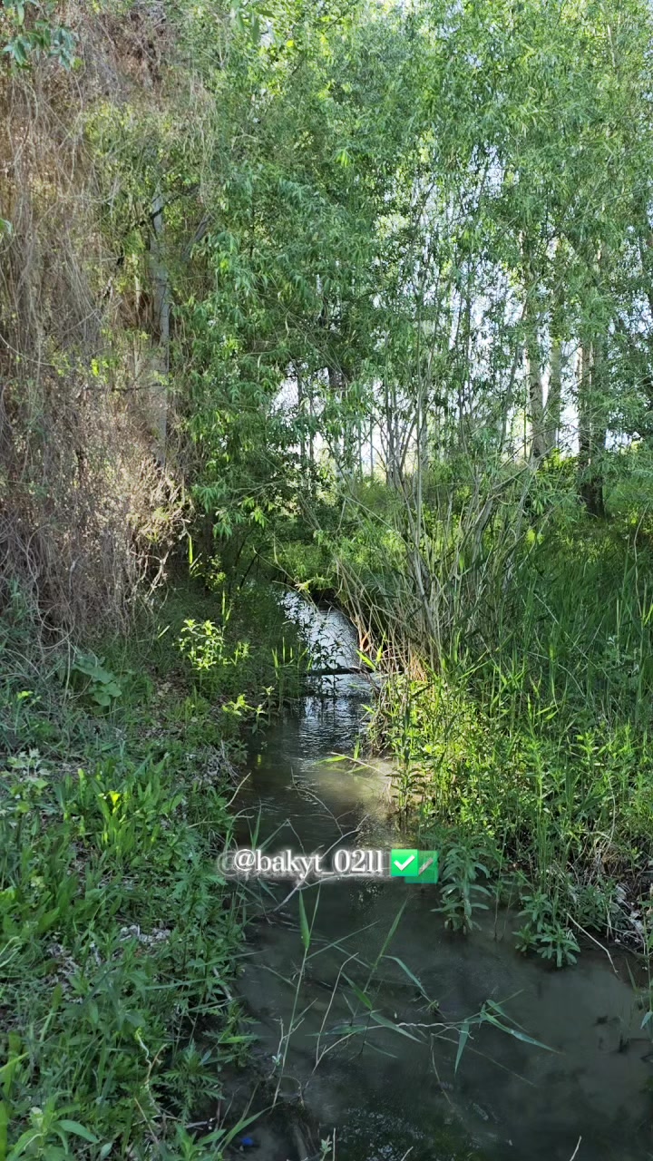 @Бакыт Ербекей