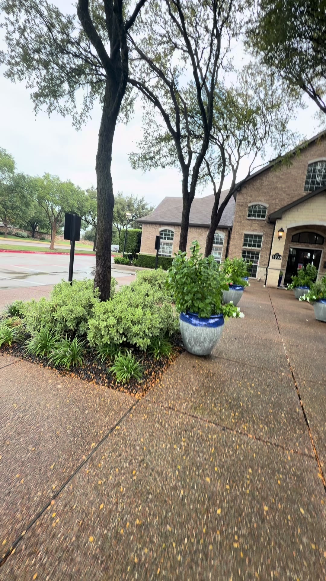 @Tasha | DFW Realtor