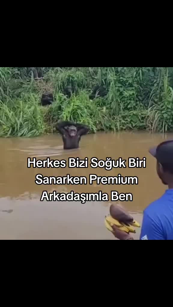 @Furkann27