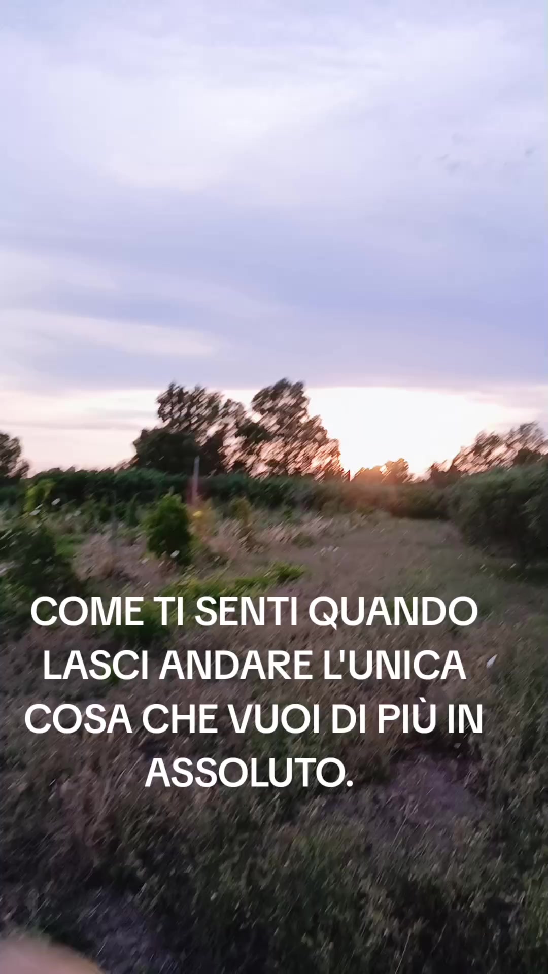 @Gianni