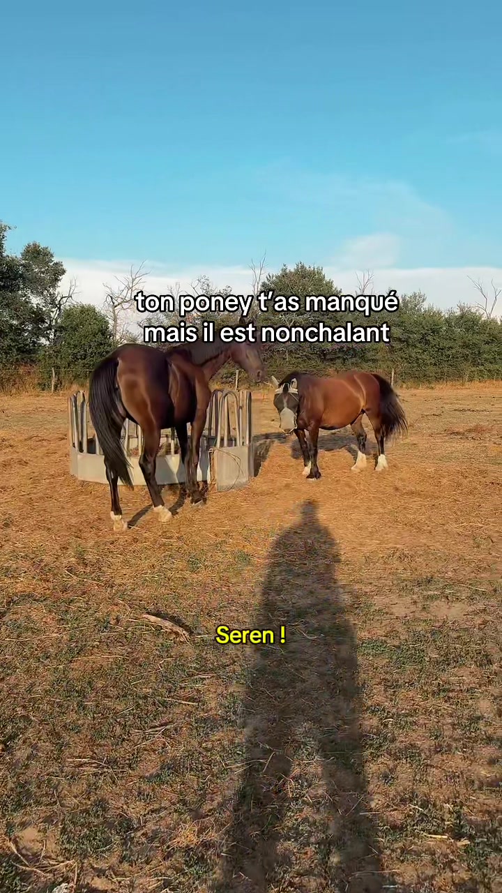 @Seren the pony ๐ด