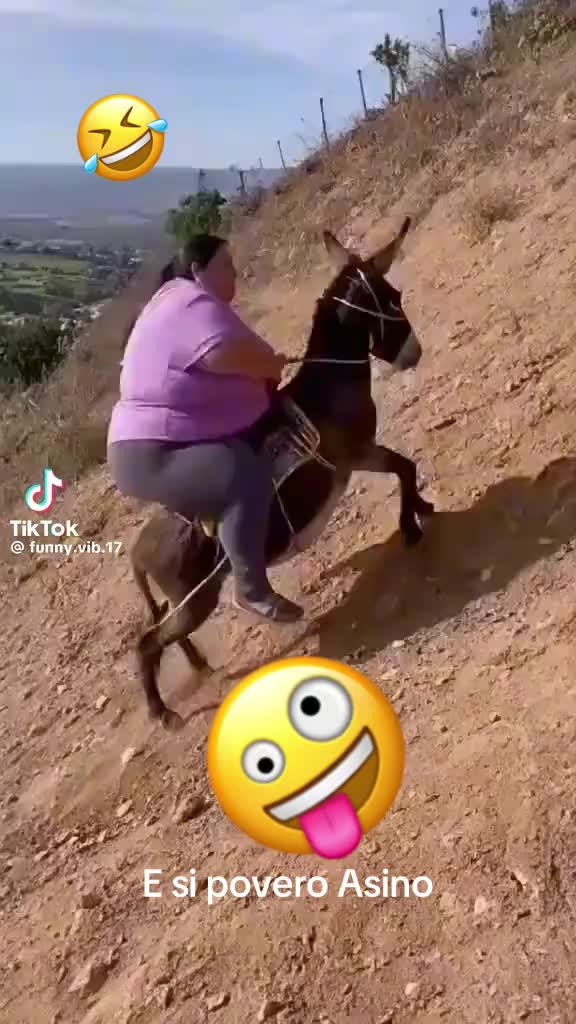 @Roberto_93