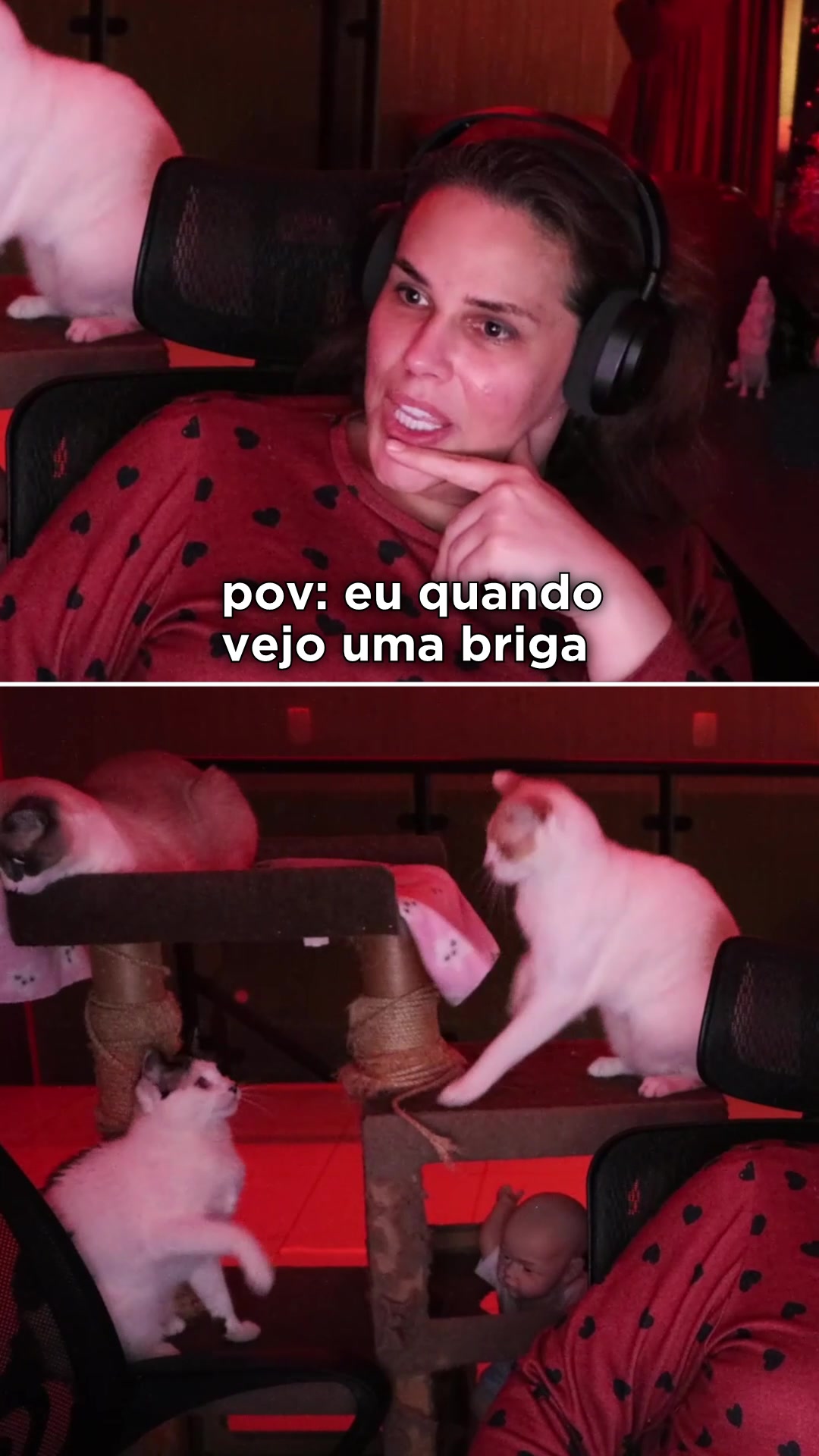 @Wanessa Wolf