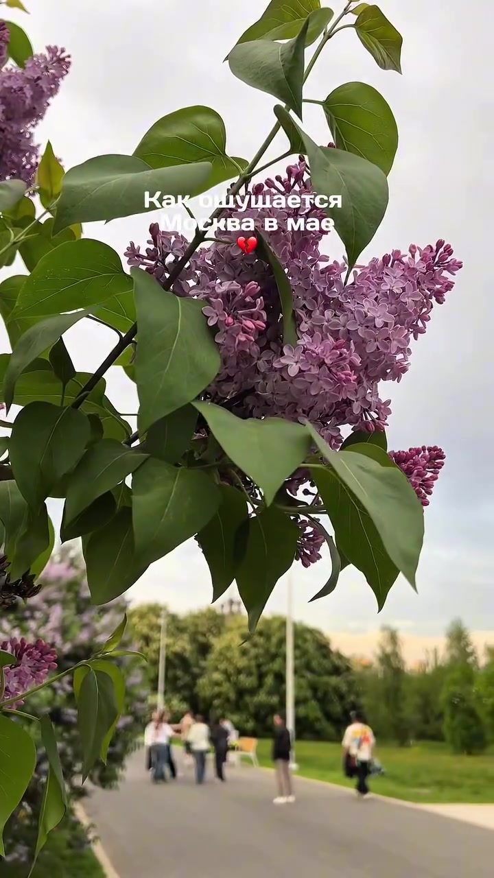@Анна Крупчинова | Путешествия