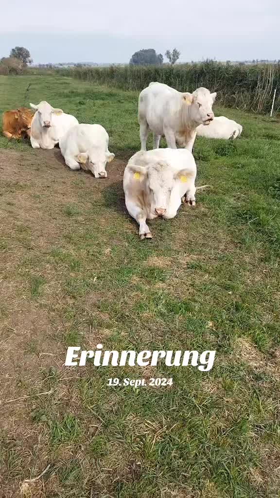 @brinasahobby