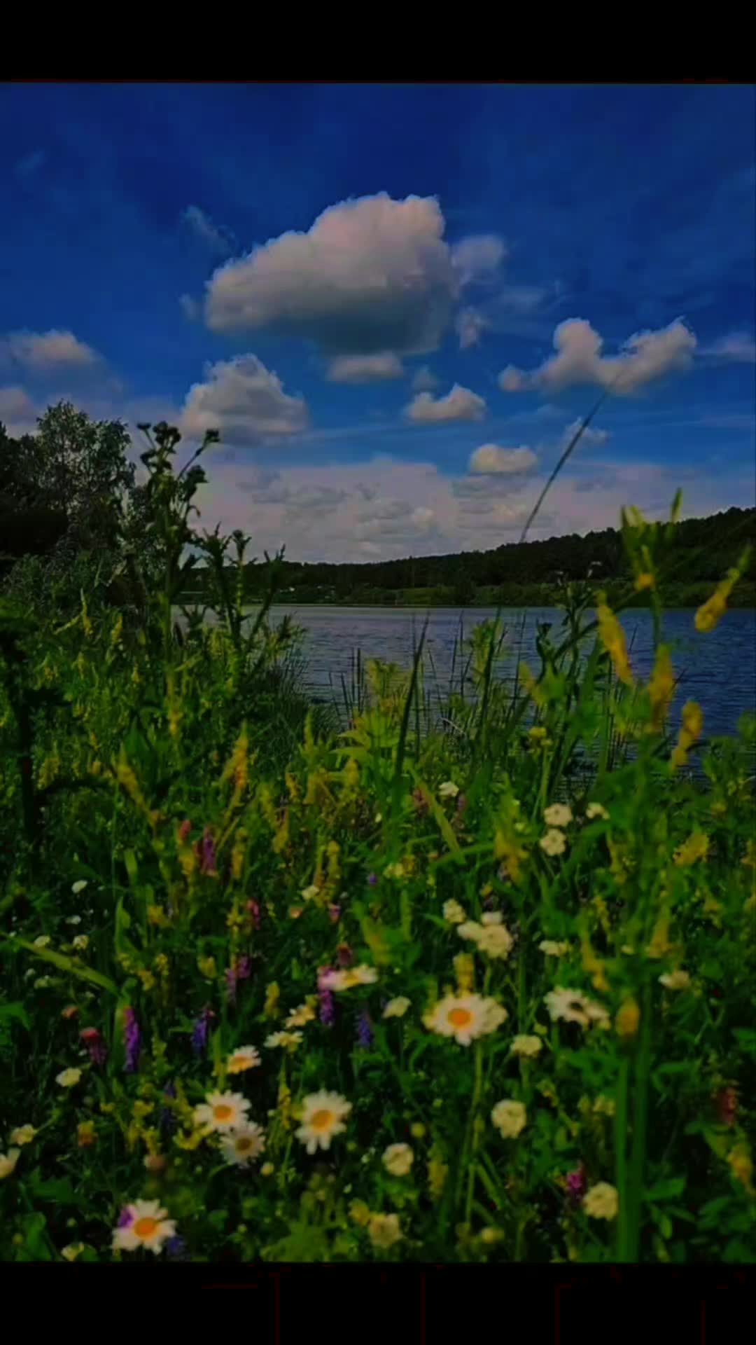 @Алиса