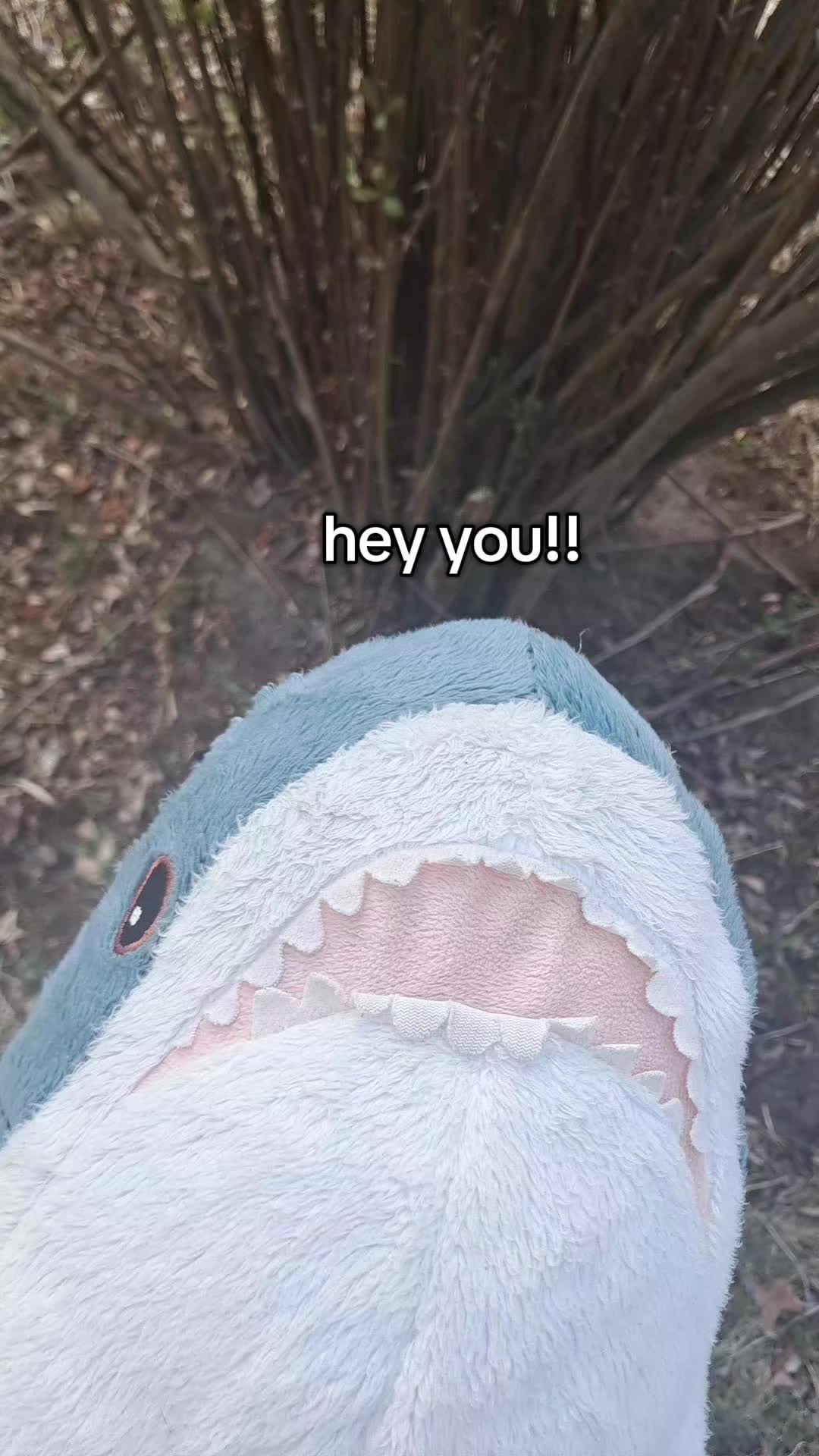 @Willie the Shark <3