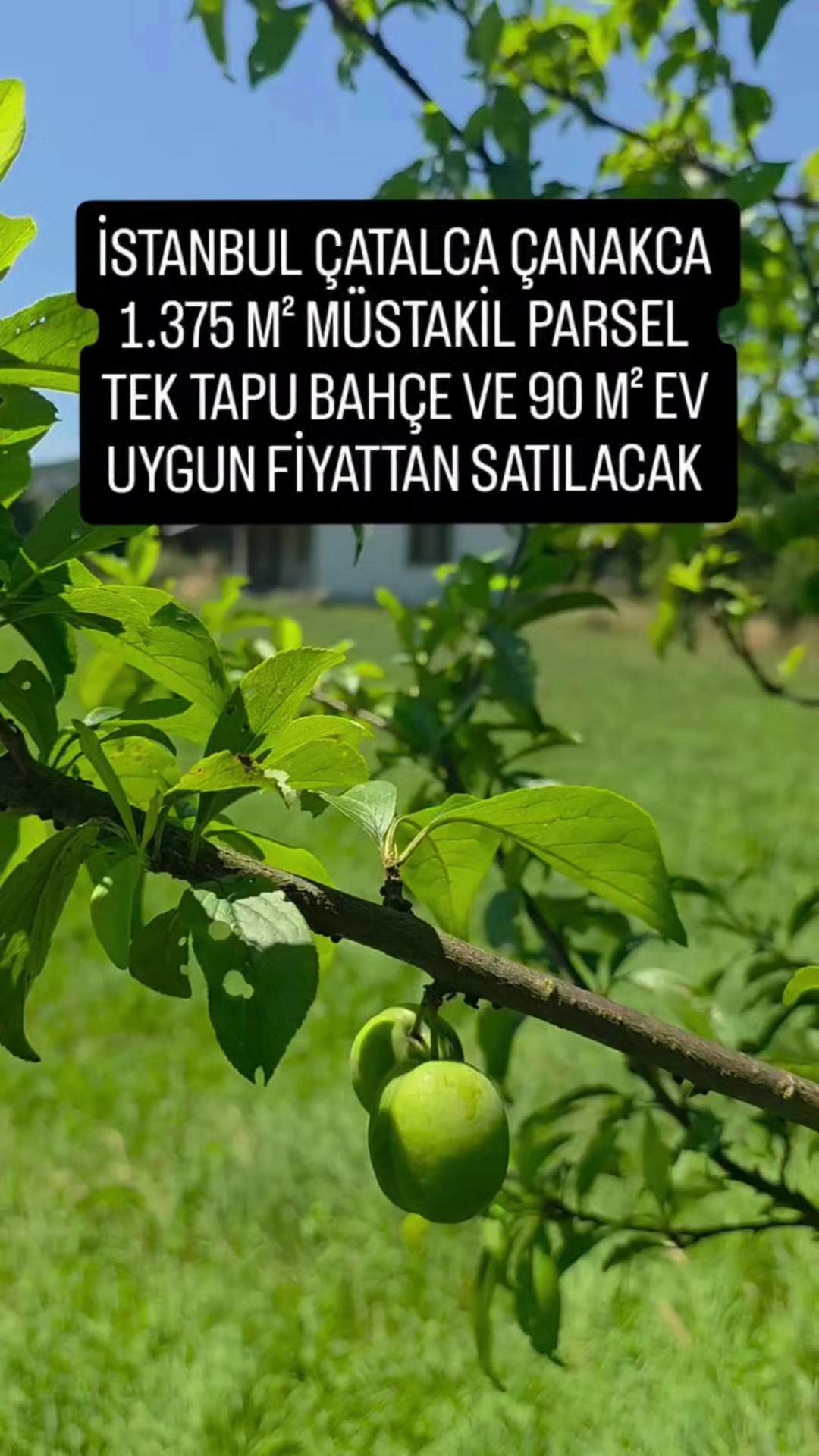 @Satılık K&ouml;y Evleri