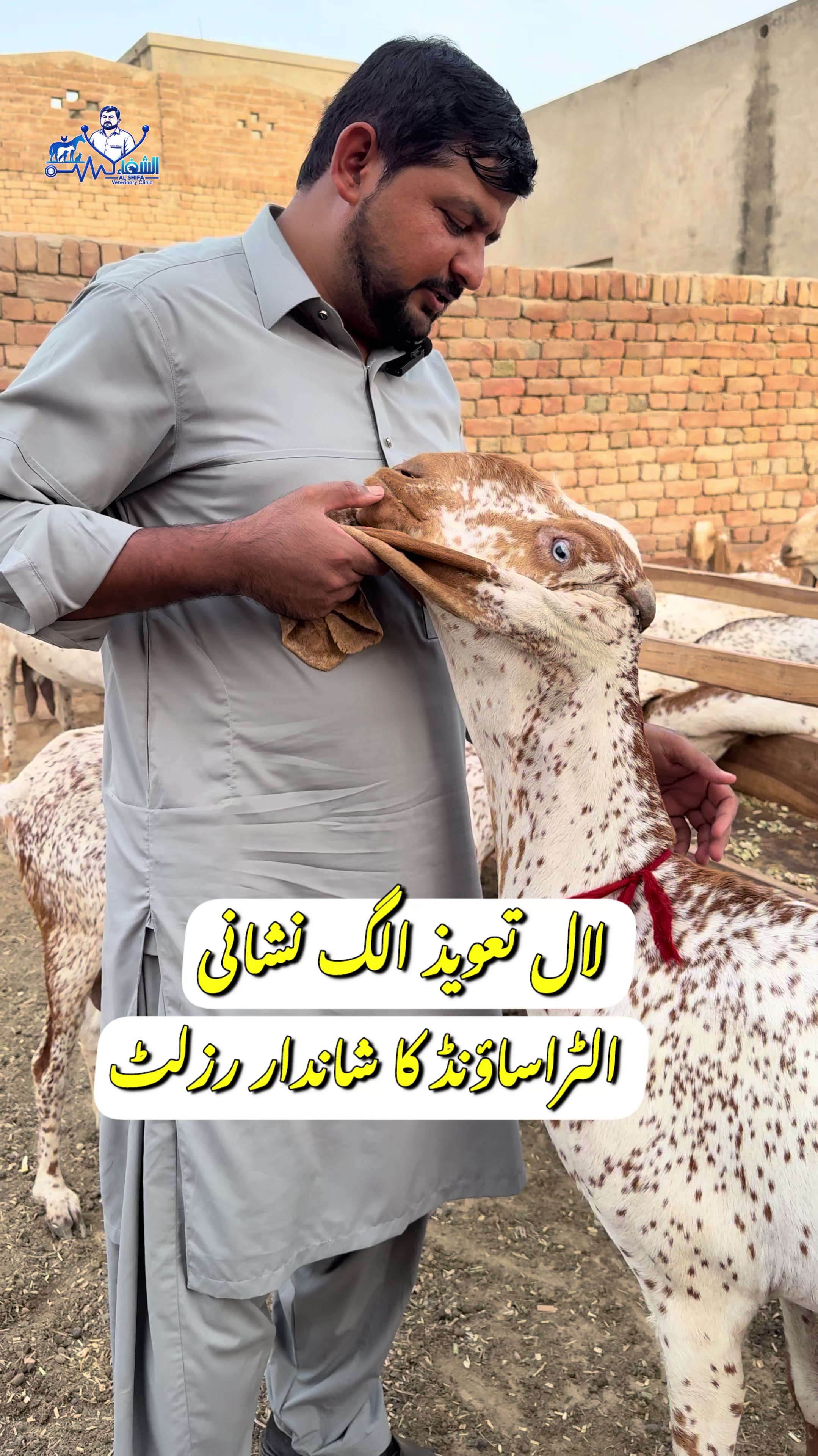 @Dr.Mohsin