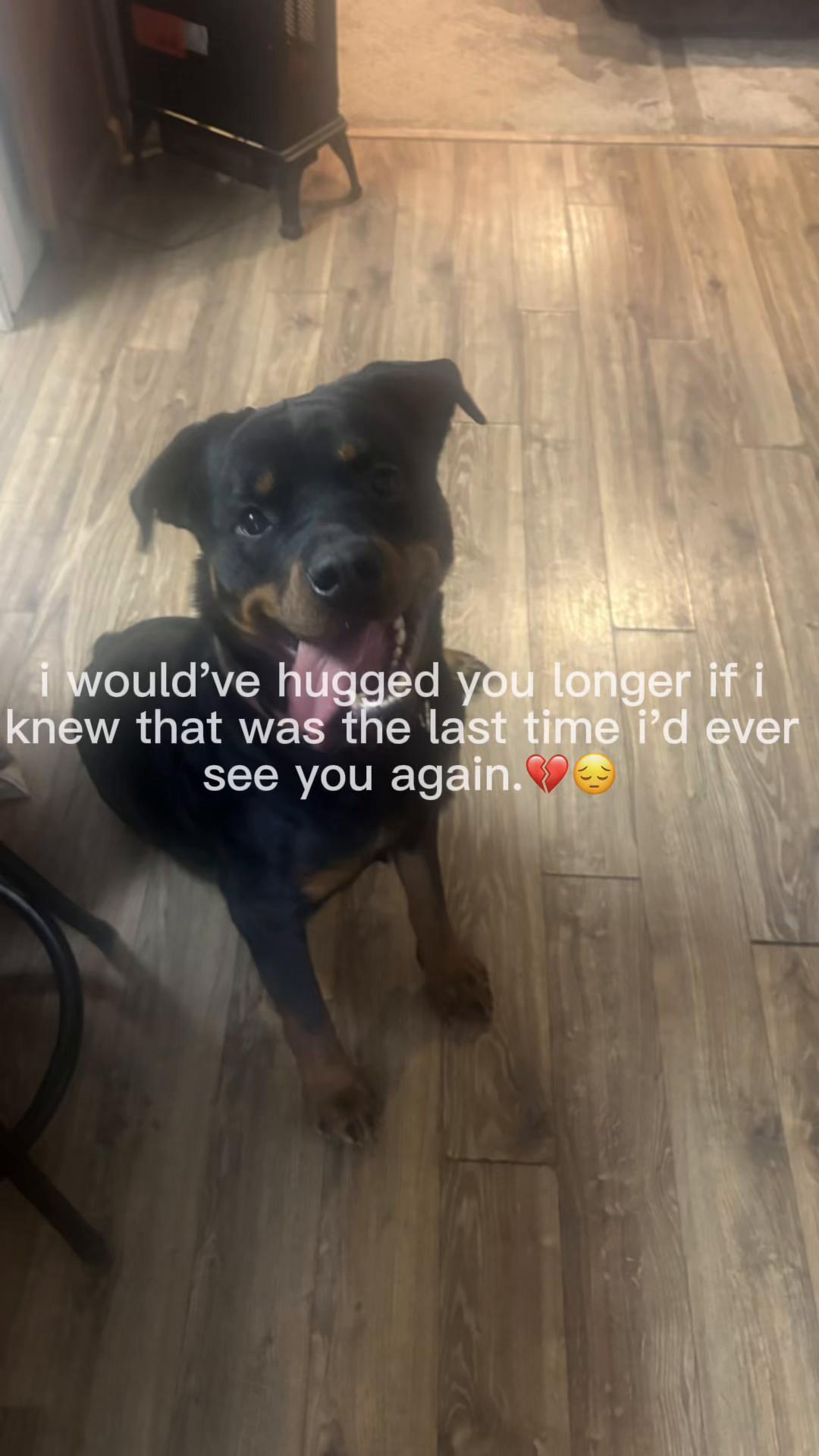 @Payton jones ❤️⛹🏼♀️🥎❤️🩹