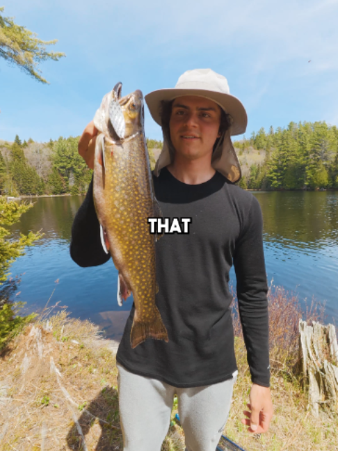 @Stef Fish