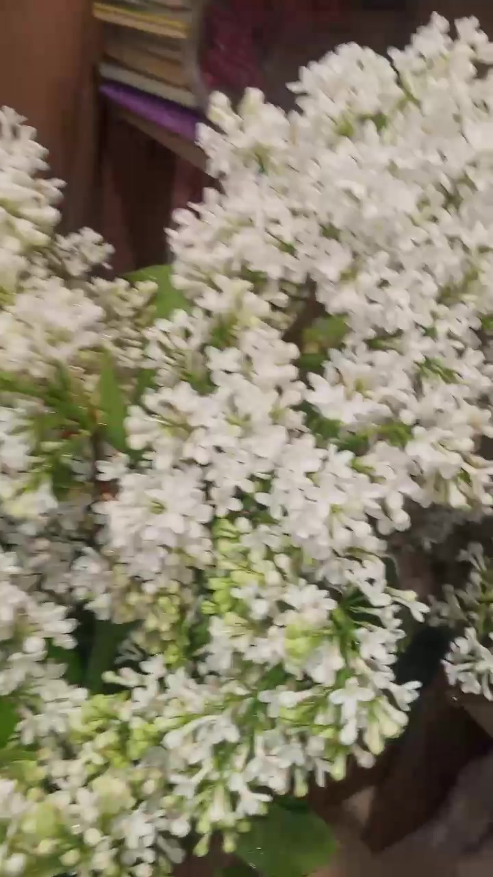 @мария 🇷🇺