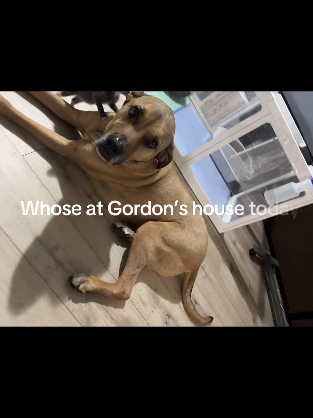 @GordonsFosters