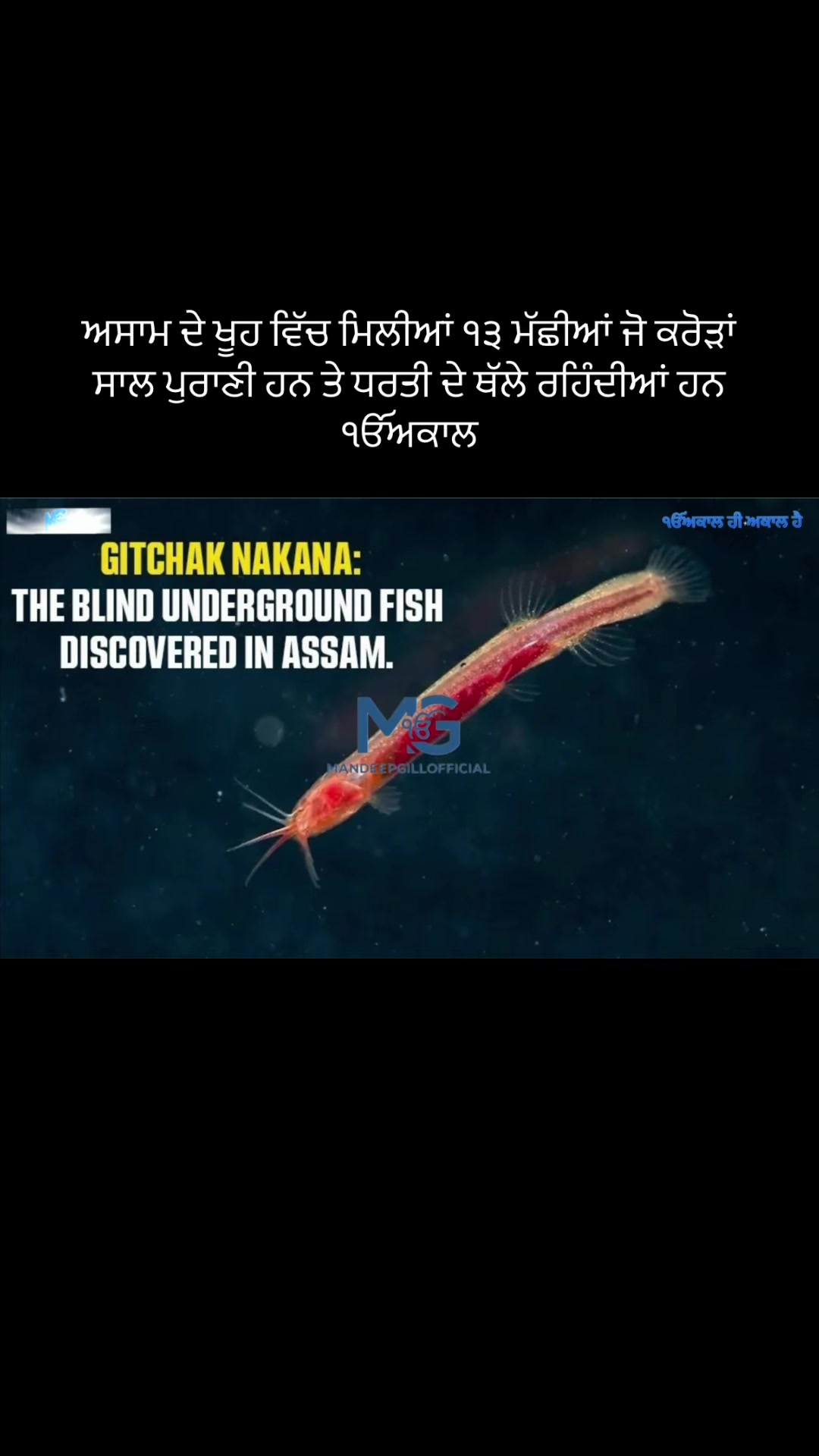 @Mandeep Singh Gill