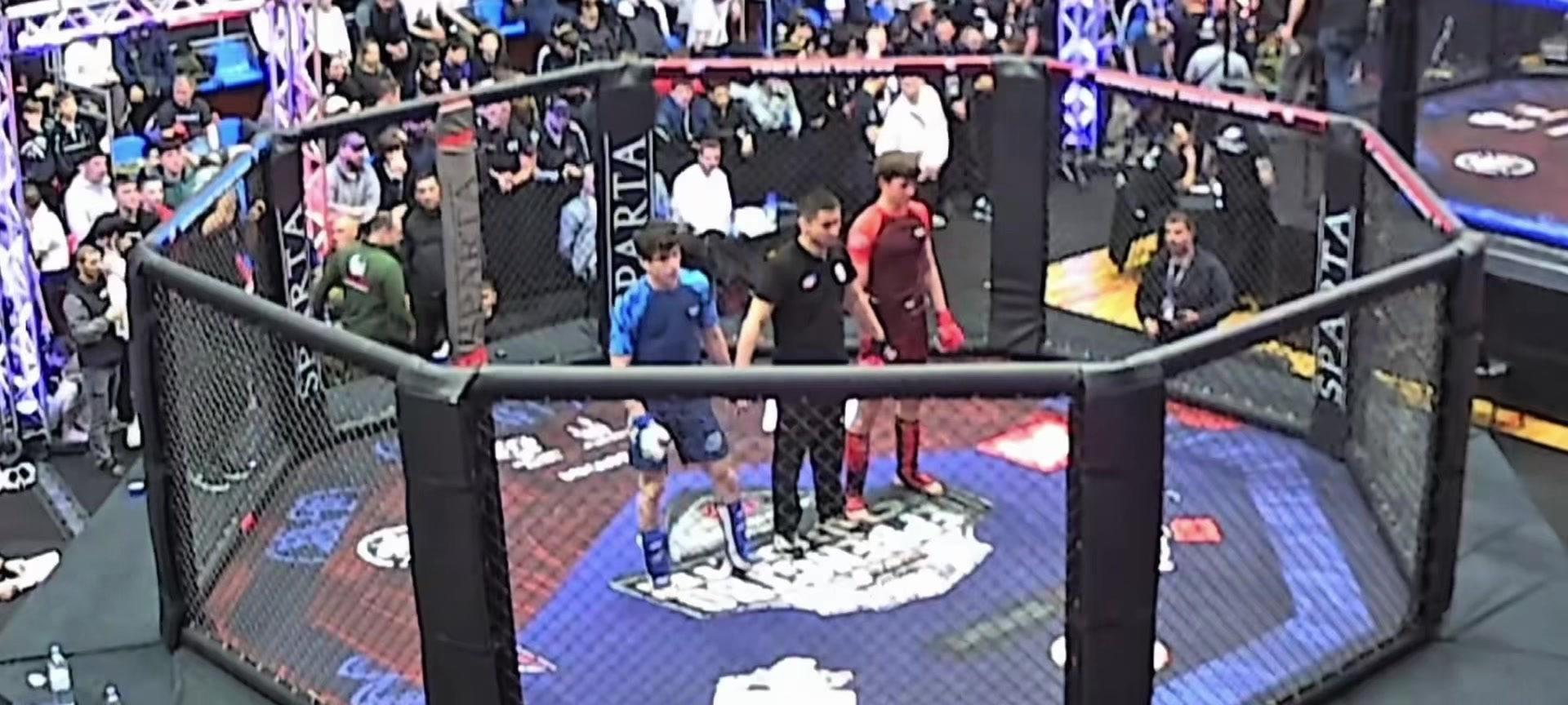 @🥊🤼