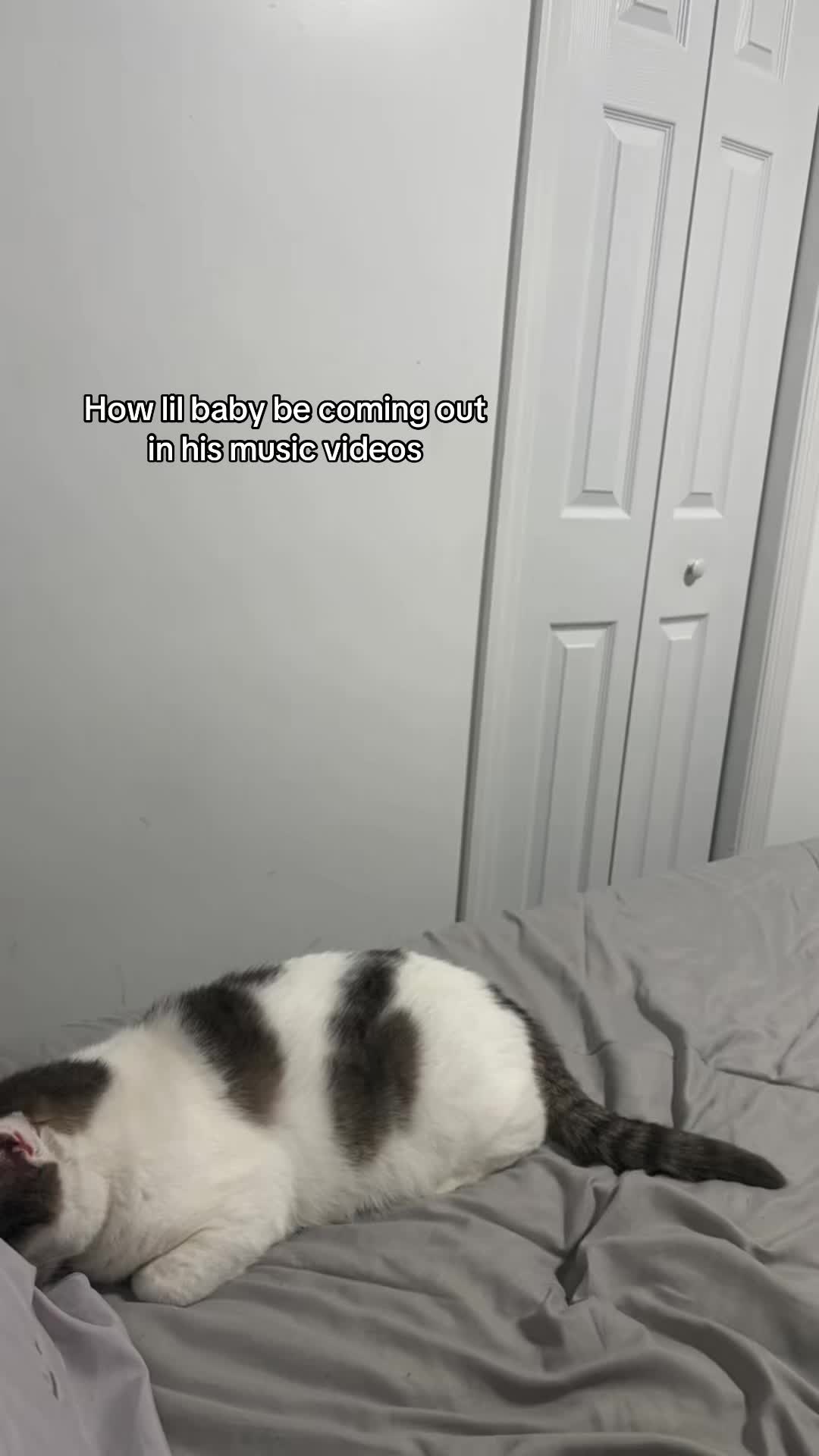 @⃟∞