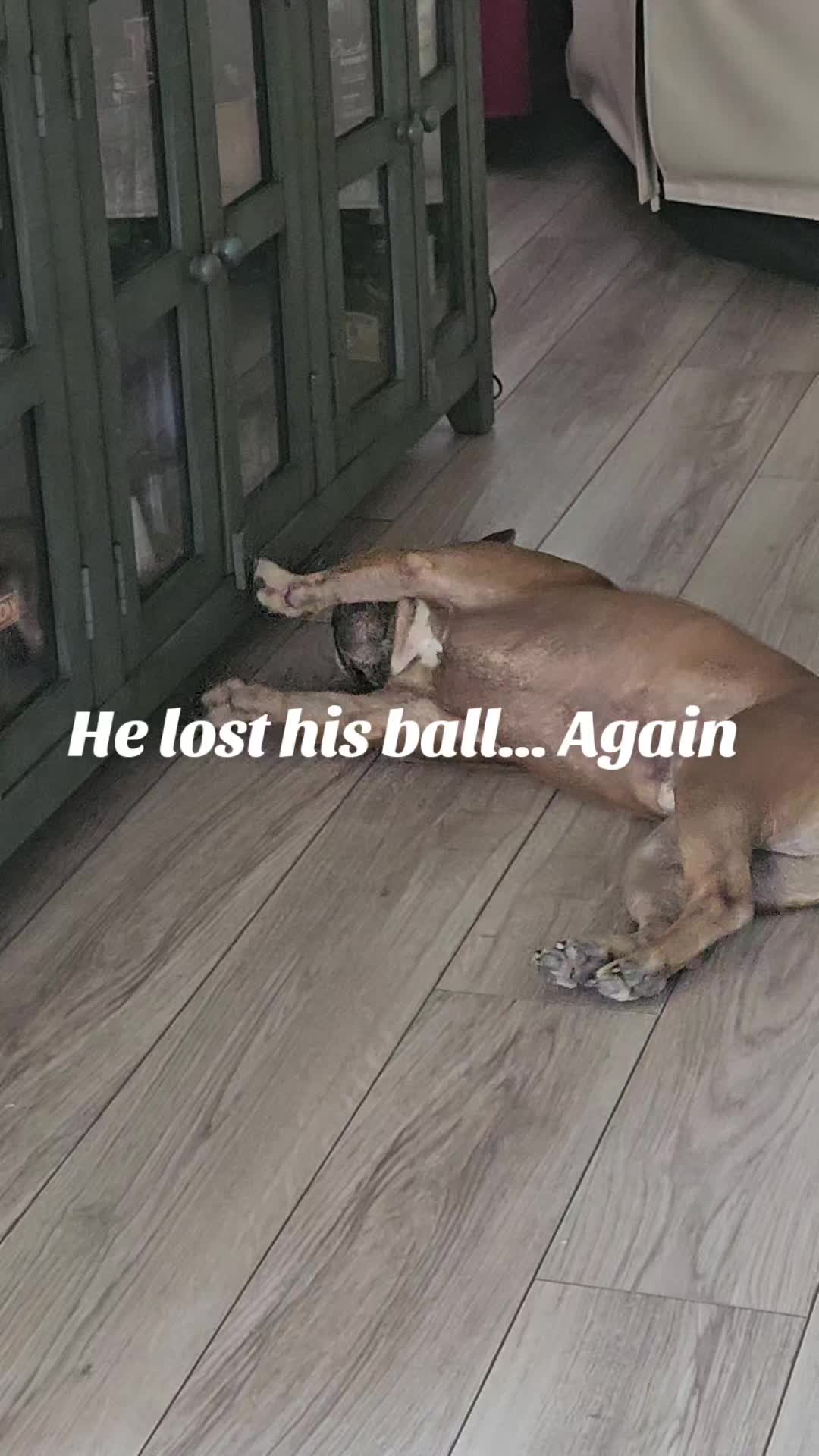 @RealDarkKnlght