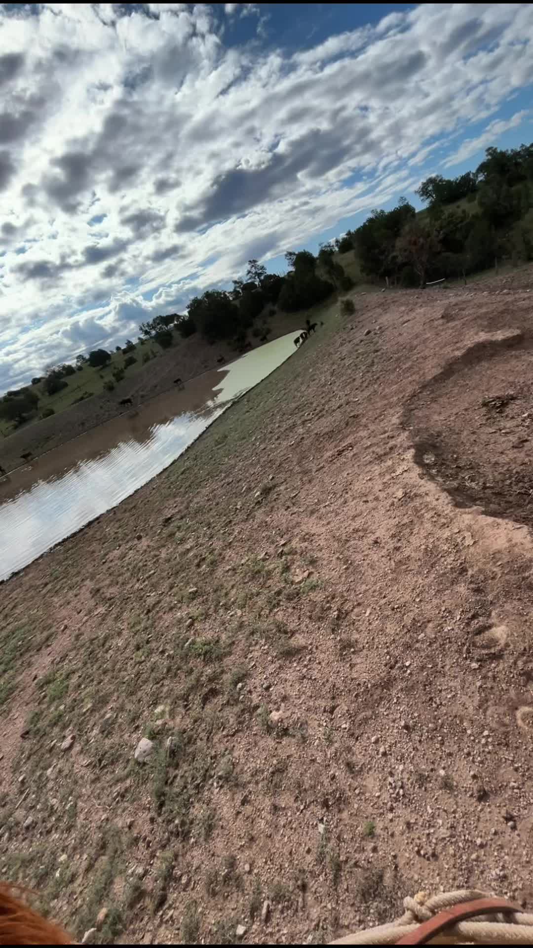 @Paul2161