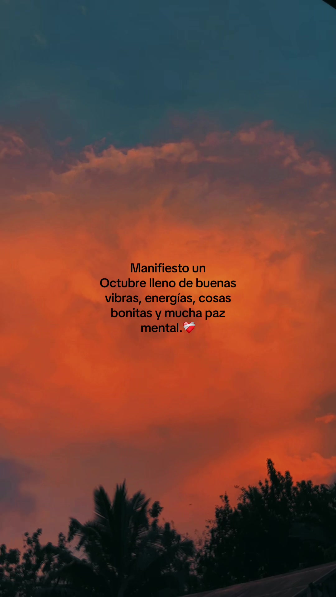 @Evelyn