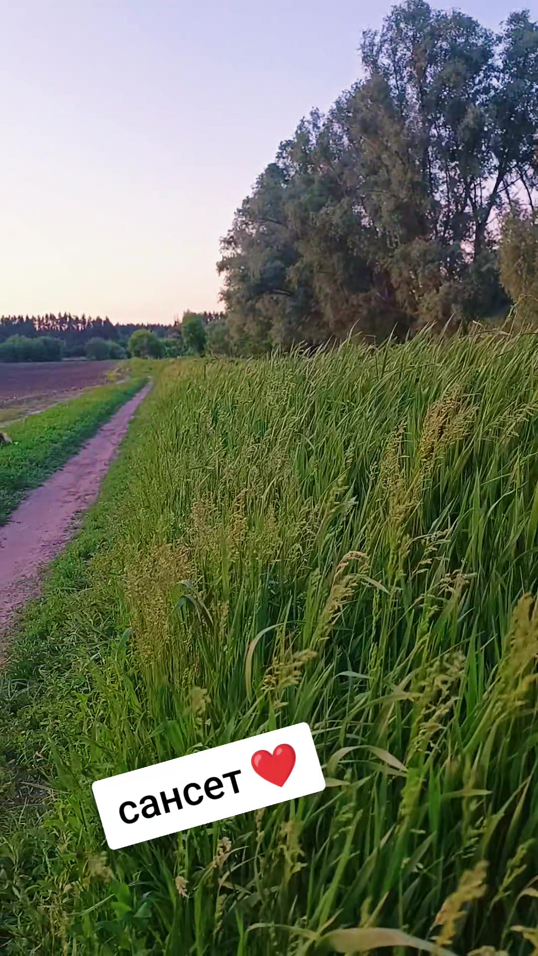 @ксюшик💙💛