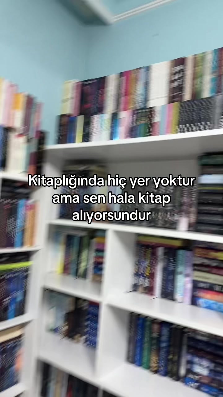 @laviniaabookss