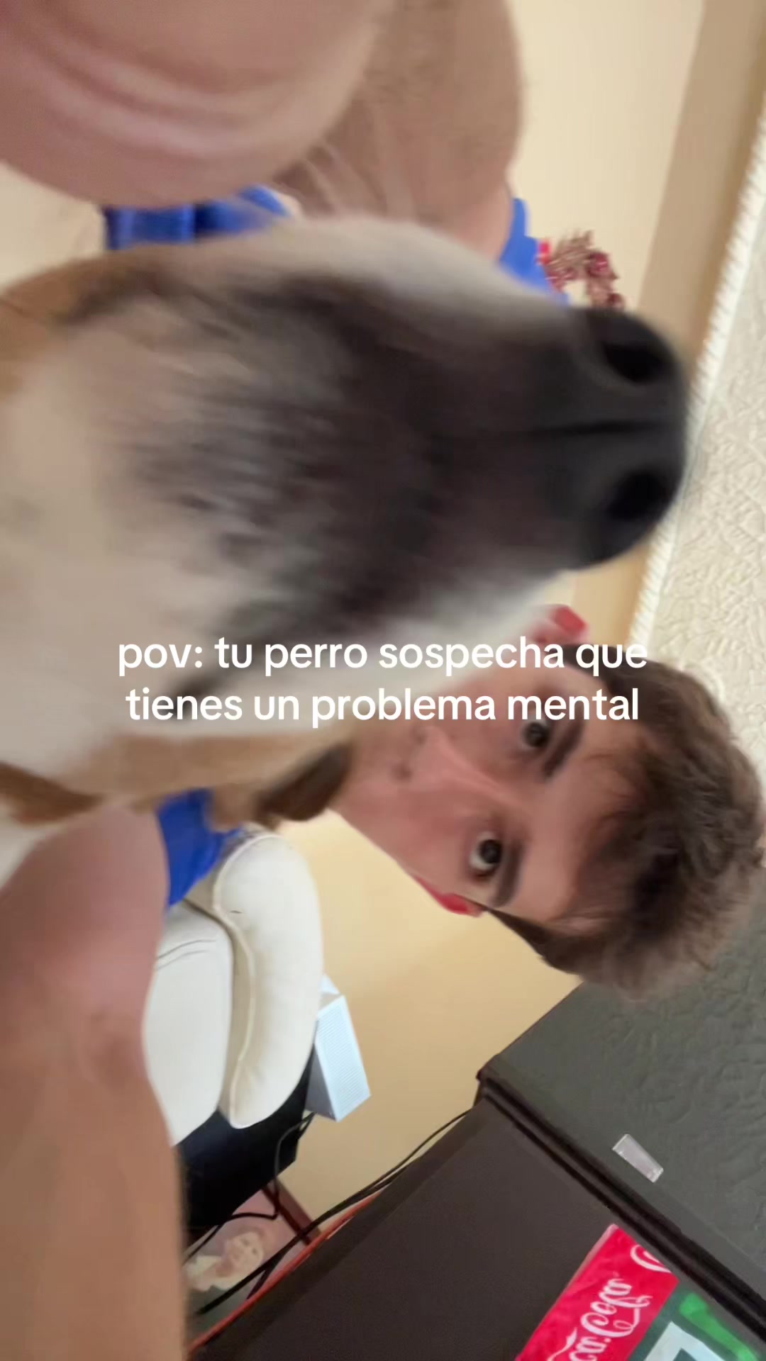 @chrisarce