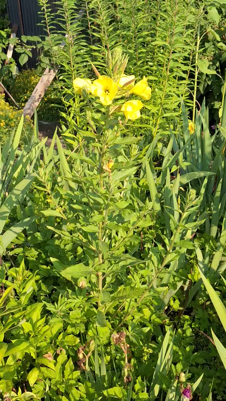 @Natur und Garten