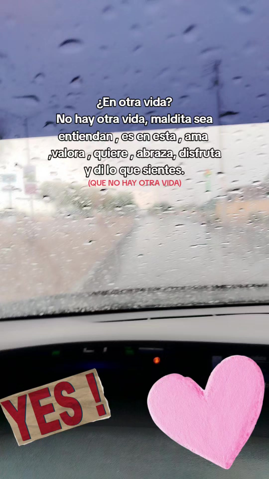 @Viridiana Rubio Hernandez