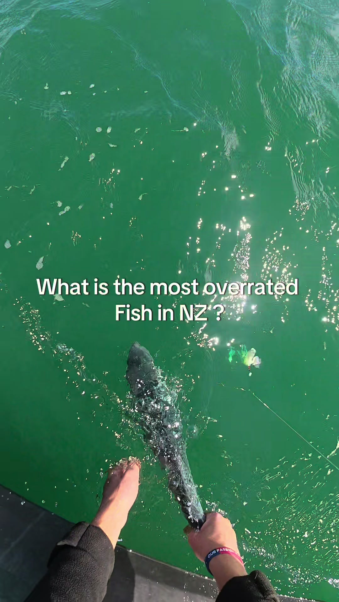 @CCFishing