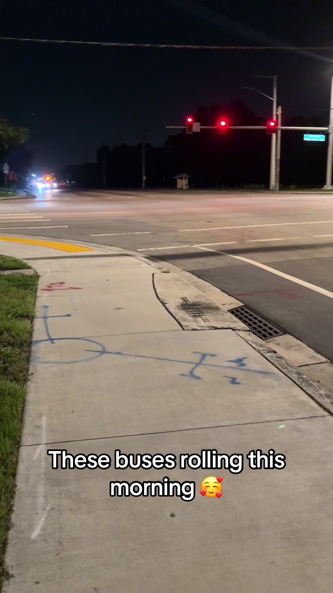 @palmbeachtransportation