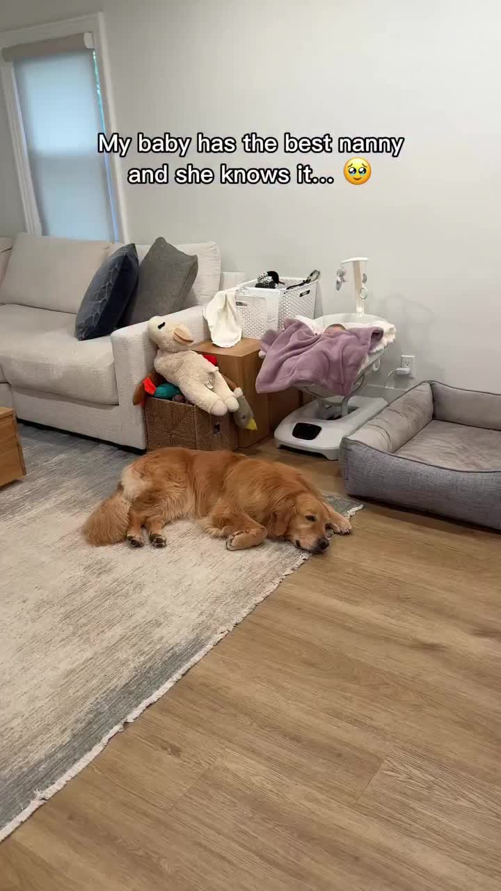 @Dev | mom + dog mom