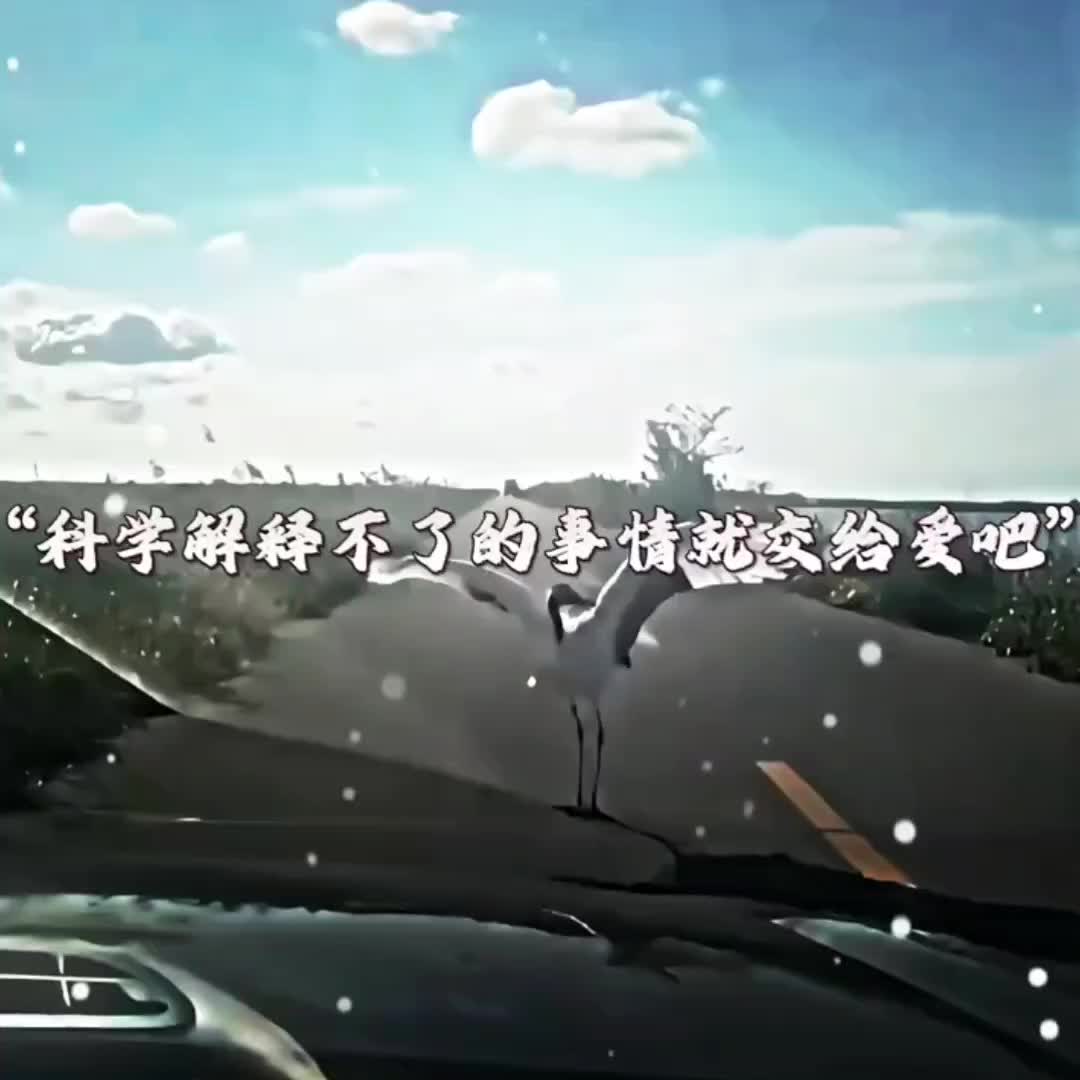 @歐復生 (妖狐)