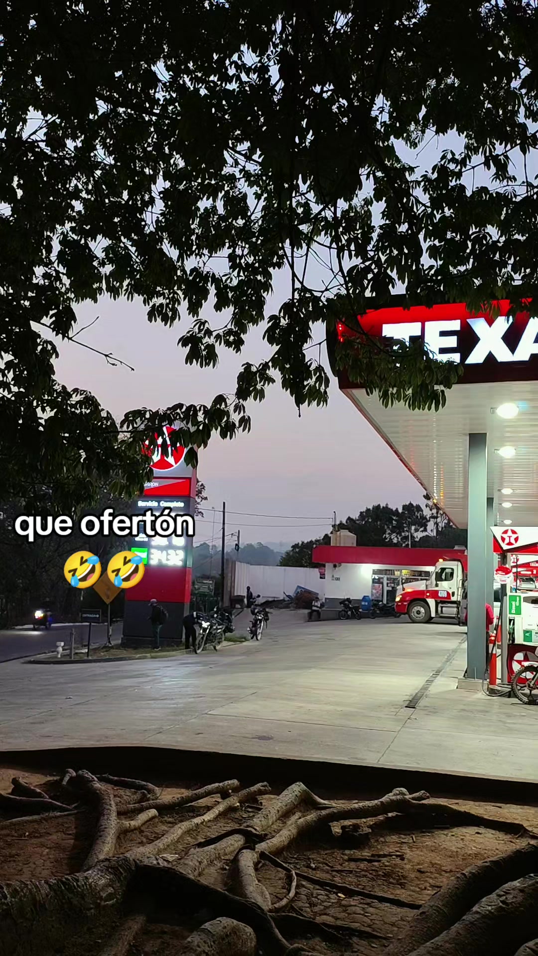 @Manuel Alexander